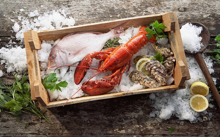 gray fish and orange lobster, lobster, ice, fish, herbs, lemon, oyster, HD wallpaper