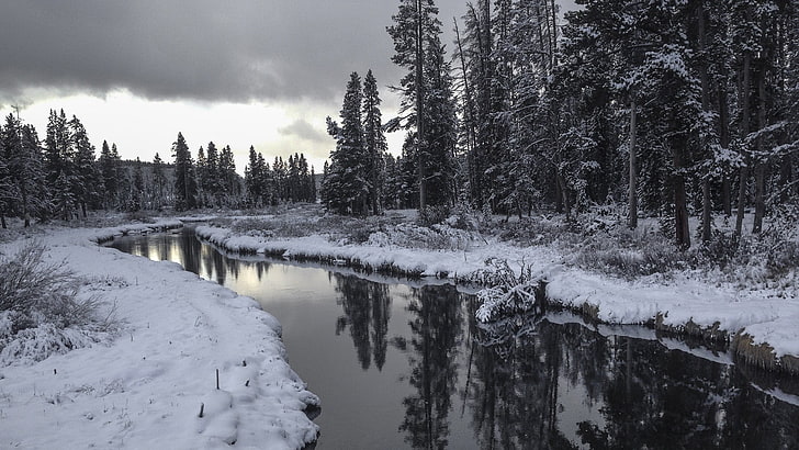 body of water, Yellowstone National Park, USA, winter, river, trees, forest, reflection, HD wallpaper