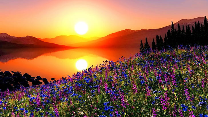 花、松の木、山、湖の赤の空の反射と日没山の牧草地Hdデスクトップの壁紙、 HDデスクトップの壁紙