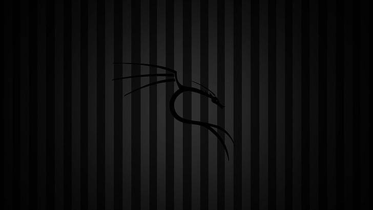 black dragon illustration, Kali Linux, Kali Linux NetHunter, Linux, HD wallpaper