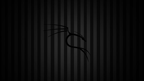 black dragon illustration, Kali Linux, Kali Linux NetHunter, Linux, HD wallpaper HD wallpaper