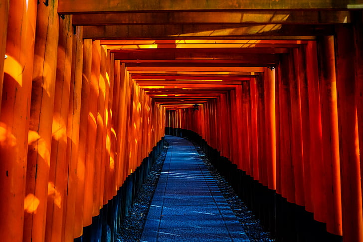 fushimi inari taisha, japan, temple, torii, HD wallpaper