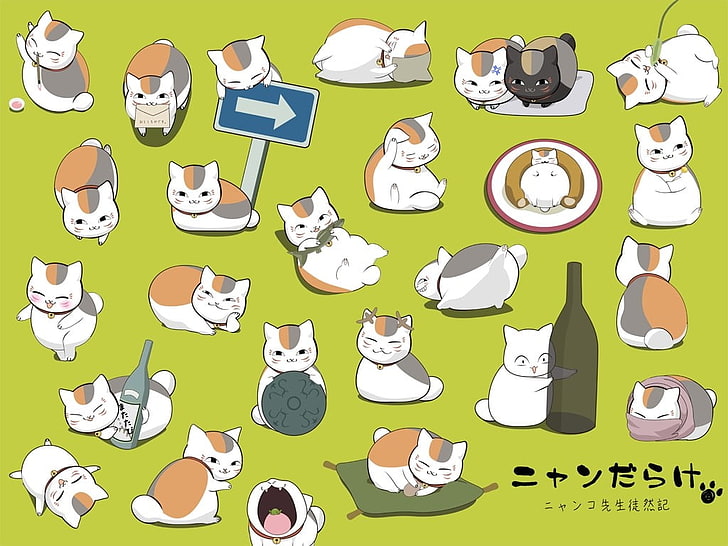 зелено-бяла дъска за печат на котка, Книга на приятелите на Нацуме, Нацуме Юуджинчу, HD тапет