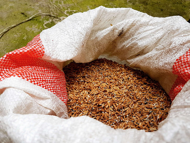 Landwirtschaft, Reisfeld, rot, Reis, HD-Hintergrundbild