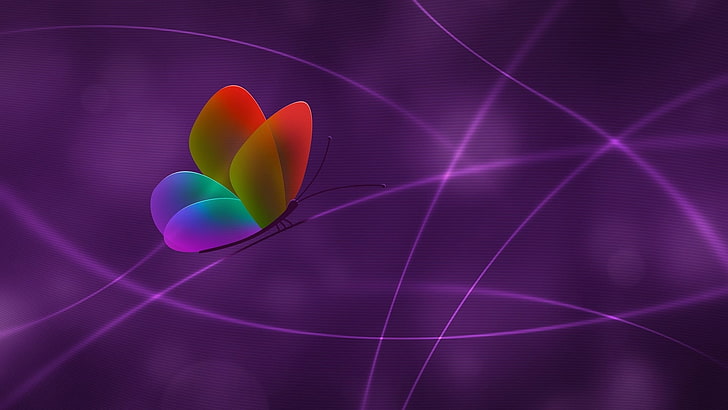 butterfly, multicolor, light, purple, digital art, graphics, HD wallpaper