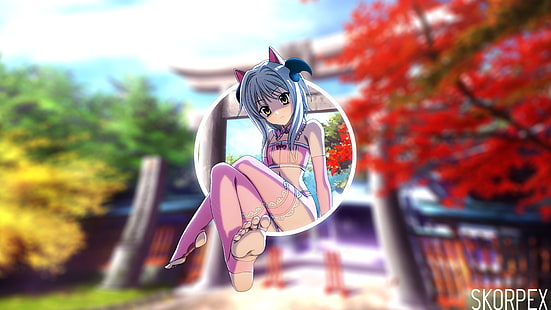 anime girls, Highschool DxD, feet, HD wallpaper HD wallpaper