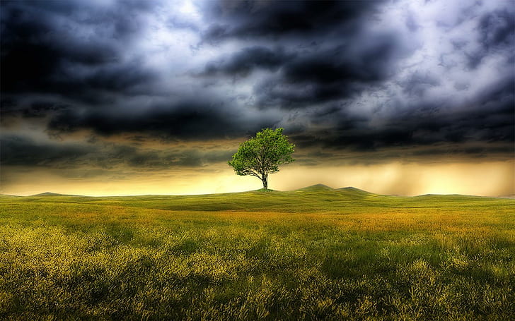 The Storm Clouds Gather, abstract, storm, fantasy, clouds, tree, 3d and abstract, HD wallpaper