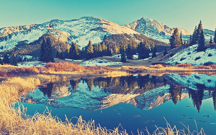 grüne Kiefern, Landschaft, Berge, Natur, Schnee, Reflexion, See, Sonnenlicht, Bäume, HD-Hintergrundbild