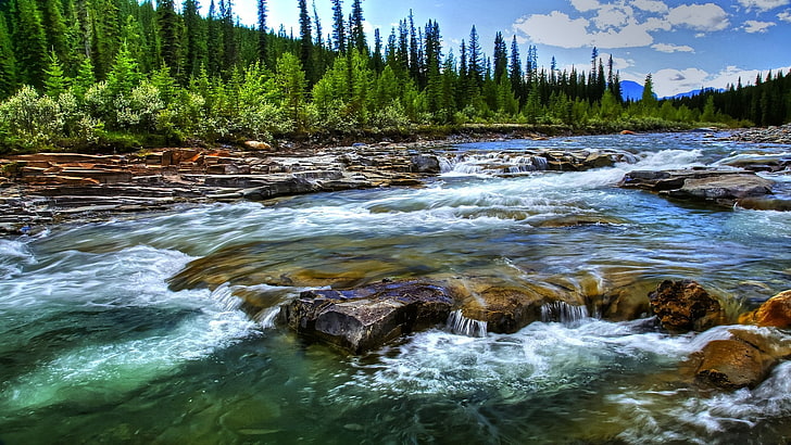 lanskap, sungai, air, alam, pohon, aliran, Wallpaper HD