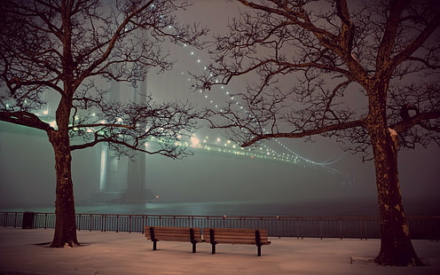 зима, мост, огни, деревья, снег, скамейка, забор, ночь, HD обои HD wallpaper