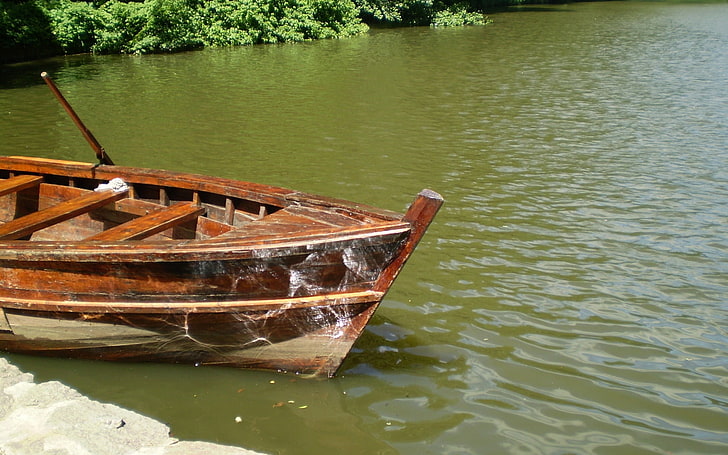 кафява дървена лодка, лодка, бряг, гребла, вода, отражения, слънчево, HD тапет