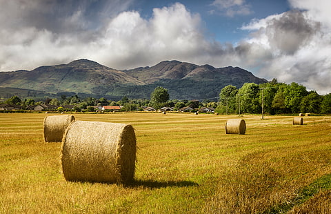 photo of roll hays near green mountains during daytime, photo, roll, hays, green mountains, daytime, Comrie, hay  bale, golden  mountains, hills, field, bale, agriculture, nature, rural Scene, hay, farm, summer, landscape, outdoors, harvesting, sky, landscaped, straw, crop, meadow, yellow, scenics, wheat, rolled Up, cloud - Sky, land, non-Urban Scene, blue, HD wallpaper HD wallpaper