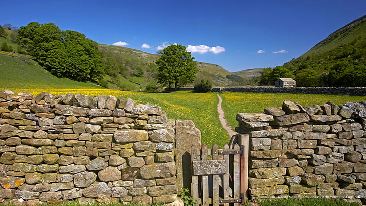 Buttercup çayır, Swaledale, Kuzey Yorkshire, İngiltere, Avrupa, HD masaüstü duvar kağıdı
