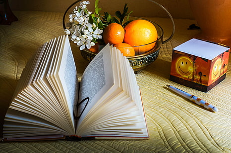 livro de página aberta, aberto, página, livro, composição, luminária, sony nex-6, oranger, du, mexique, choisya, livre, laranjas, educação, literatura, HD papel de parede HD wallpaper