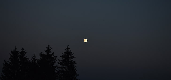 月、月明かり、夕焼け、空、 HDデスクトップの壁紙