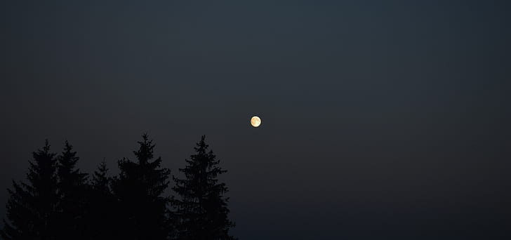 ciel, coucher de soleil, clair de lune, lune, Fond d'écran HD