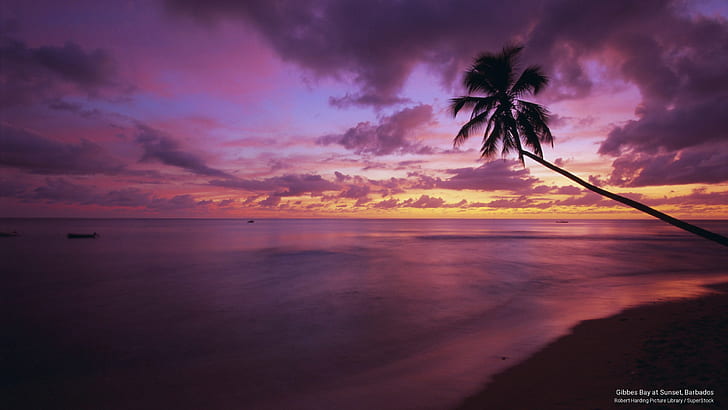 Gibbes Bay at Sunset, Barbados, Beaches, HD wallpaper