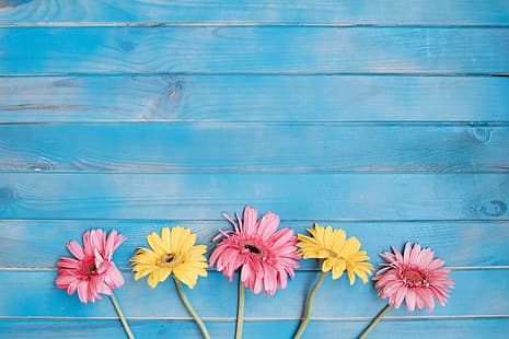  flowers, background, yellow, colorful, pink, gerbera, wood, spring, HD wallpaper HD wallpaper