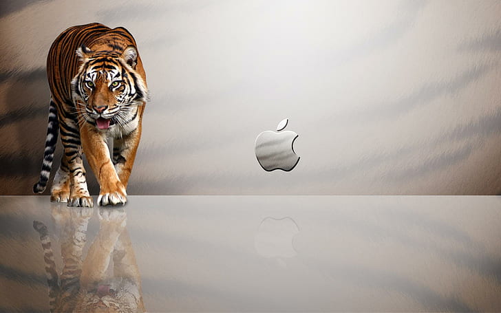 Apple MAC Tiger, logo de la marque Apple et photo 3D du tigre, tigre, pomme, Fond d'écran HD