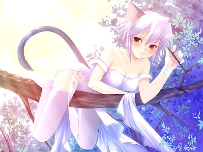 Nekomimi Katzenohren Anime Mädchen 1024x768 Tiere Katzen HD Art, Nekomimi, Katzenohren, HD-Hintergrundbild HD wallpaper