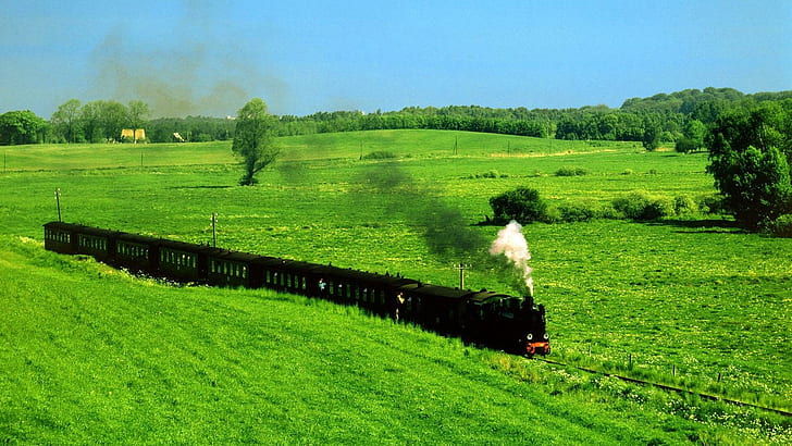 Old Steam Train Through Grass Fields, fields, grass, train, steam, nature and landscapes, HD wallpaper