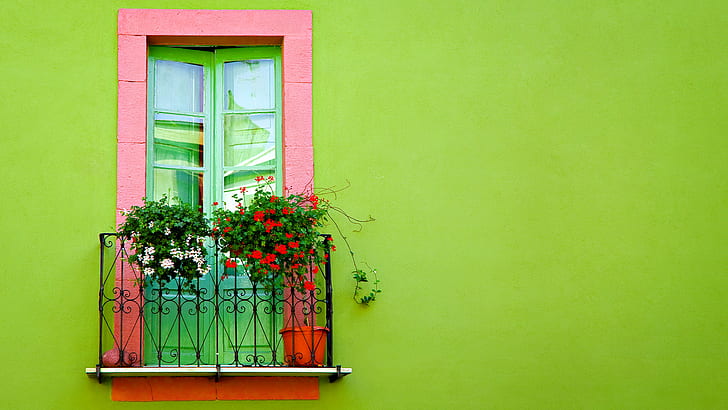 نافذة حائط خضراء ، خضراء ، جدار ، نافذة، خلفية HD