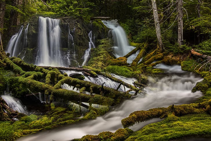 forest, river, moss, waterfalls, Washington State, Skamania, Washington, Skamania County, Big Creek Falls, HD wallpaper