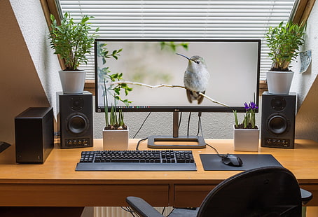 рабочее пространство, компьютер, монитор, письменный стол, колонки, клавиатуры, компьютерная мышь, горшок для растений, растения, жалюзи, HD обои HD wallpaper