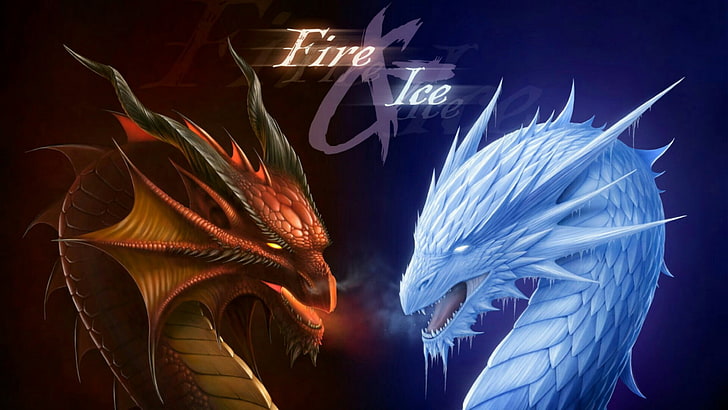 fantasy art, dragon, ice dragon, fire dragon, fire, ice, HD wallpaper