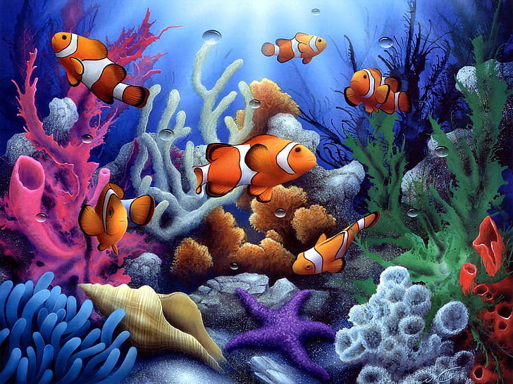 Karang dan ikan bawah laut berwarna-warni, Warna-warni, Bawah air, Karang, Ikan, Wallpaper HD