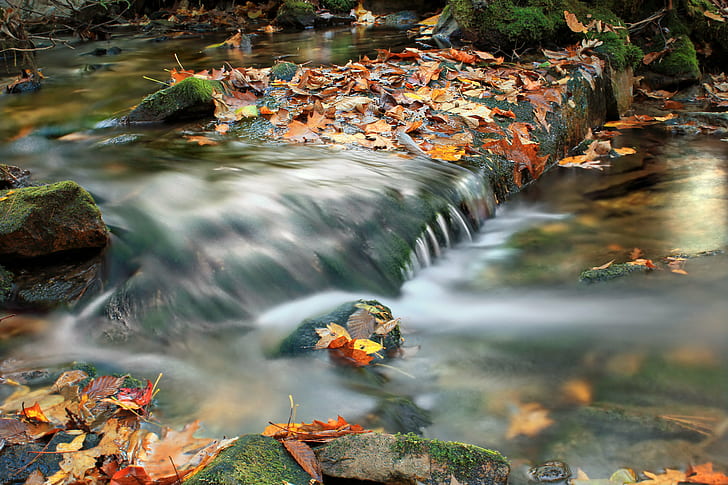 time lapse photography of river surrounded by withered leaf, Detweiler, Run, Natural Area, Revisited, time lapse photography, river, withered, leaf, Pennsylvania, Huntingdon County, Hollow, Mid State Trail, Thickhead, Mountain, Wild, Area, hiking, stream, creek, cascades, rocks, moss, leaf litter, autumn, creative commons, nature, forest, outdoors, water, tree, rock - Object, waterfall, HD wallpaper
