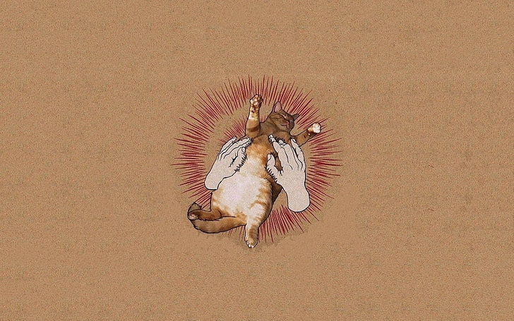 musik, Godspeed You!Black Emperor, sampul album, kucing, parodi, humor, Wallpaper HD