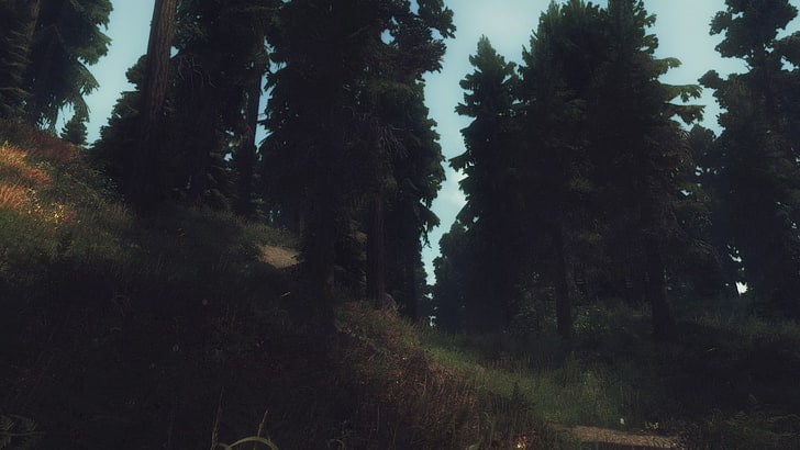 pine trees, landscape, The Elder Scrolls V: Skyrim, HD wallpaper