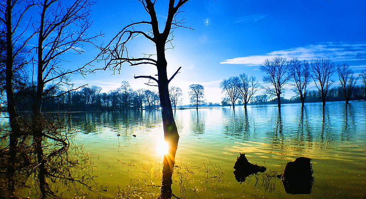 árbol marrón sin hojas y cuerpo de agua, naturaleza, paisaje, puesta de sol, lago, reflexión, árboles, agua, nubes, calma, luz solar, destello de lente, Fondo de pantalla HD