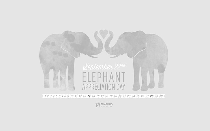 Elephant In The Room-September 2014 Calendar Wallp.., September 22nd Elephant text, HD wallpaper