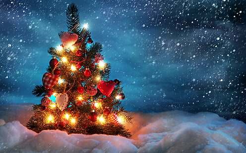 червено сърце Коледни декори, снимка на коледно дърво, дървета, Коледа, ела, коледно дърво, HD тапет HD wallpaper