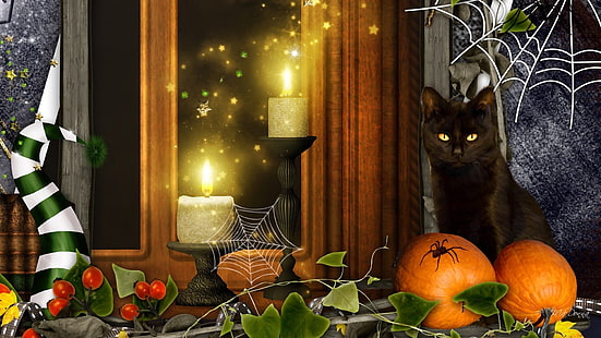 Празник, Хелоуин, свещ, котка, колаж, тиква, паяжина, HD тапет HD wallpaper