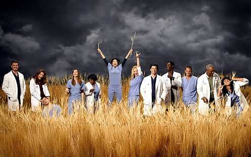 Greys Anatomy, grey's anatomy cast, movie, poster, actors, HD wallpaper HD wallpaper