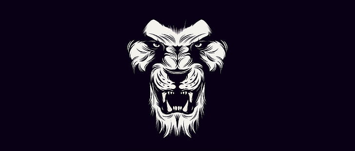 black, lion, White, HD wallpaper