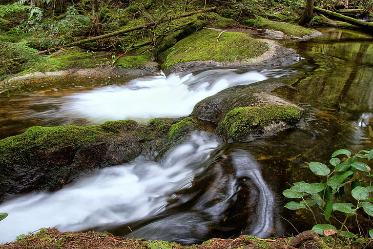 timelapse photography of flowing river on forest during daytime, Homesite, timelapse photography, river, forest, daytime, nature, scenery, sechelt, stream, waterfall, water, outdoors, tree, landscape, scenics, rock - Object, green Color, freshness, moss, flowing, beauty In Nature, mountain, flowing Water, leaf, HD wallpaper