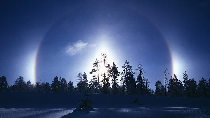 Luce solare Alberi Neve Inverno HD, natura, alberi, luce solare, neve, inverno, Sfondo HD