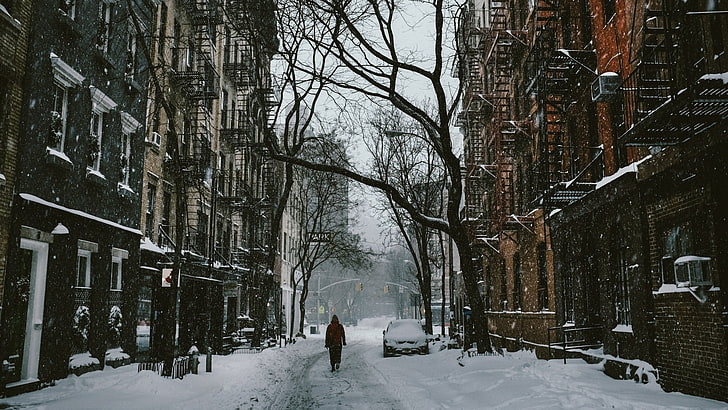 winter, street, city, snow, trees, road, nature, HD wallpaper