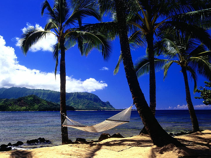 Beach HD, white hammock, photography, beach, HD wallpaper