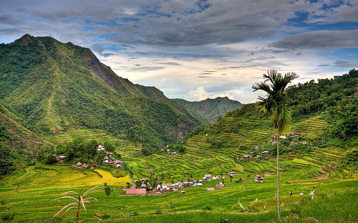 Банауе оризови тераси Филипини-National Geograph .., HD тапет
