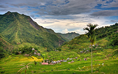 Банауэ рисовые террасы Филиппины-National Geograph .., HD обои HD wallpaper