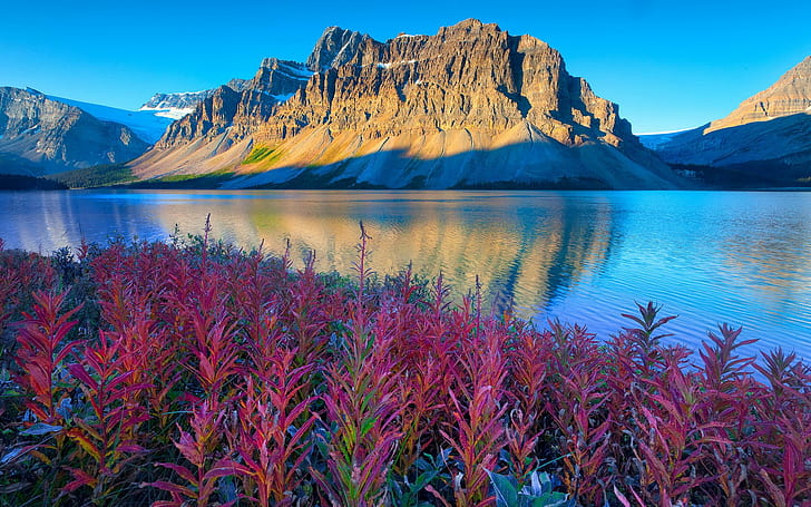 Езерото Луиз, Канада, Национален парк Банф, Алберта Красив пейзаж Тапет за десктоп 1920 × 1200, HD тапет