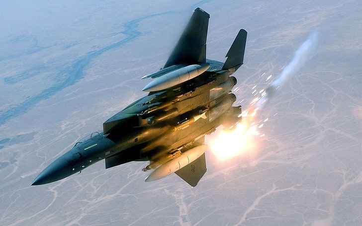 회색 제트 전투기, 항공기, 맥도넬 더글러스 F-15E 스트라이크 이글, HD 배경 화면