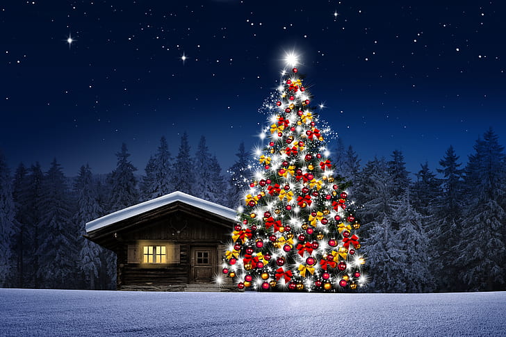 Holiday, Christmas, Cabin, Christmas Tree, Forest, Snow, HD wallpaper