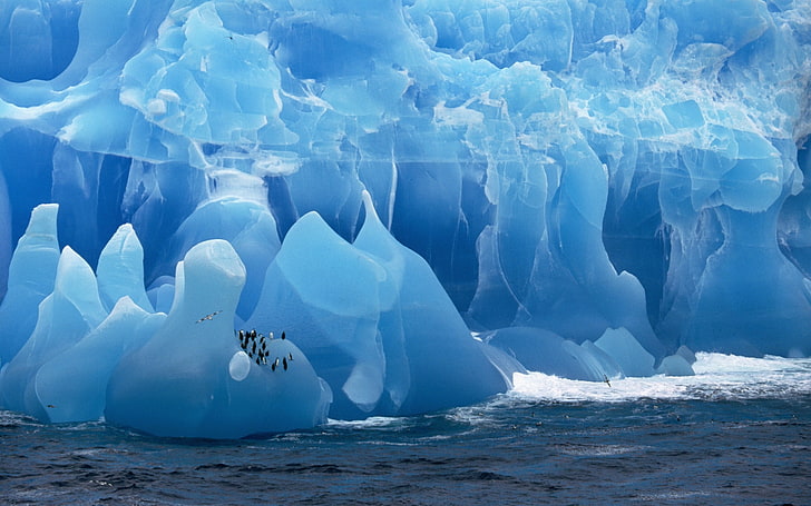 iceberg de gelo azul, Antártica, iceberg, pássaros, pinguins, mar, HD papel de parede