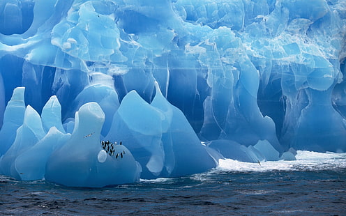bergs de glace bleue, Antarctique, iceberg, oiseaux, pingouins, mer, Fond d'écran HD HD wallpaper